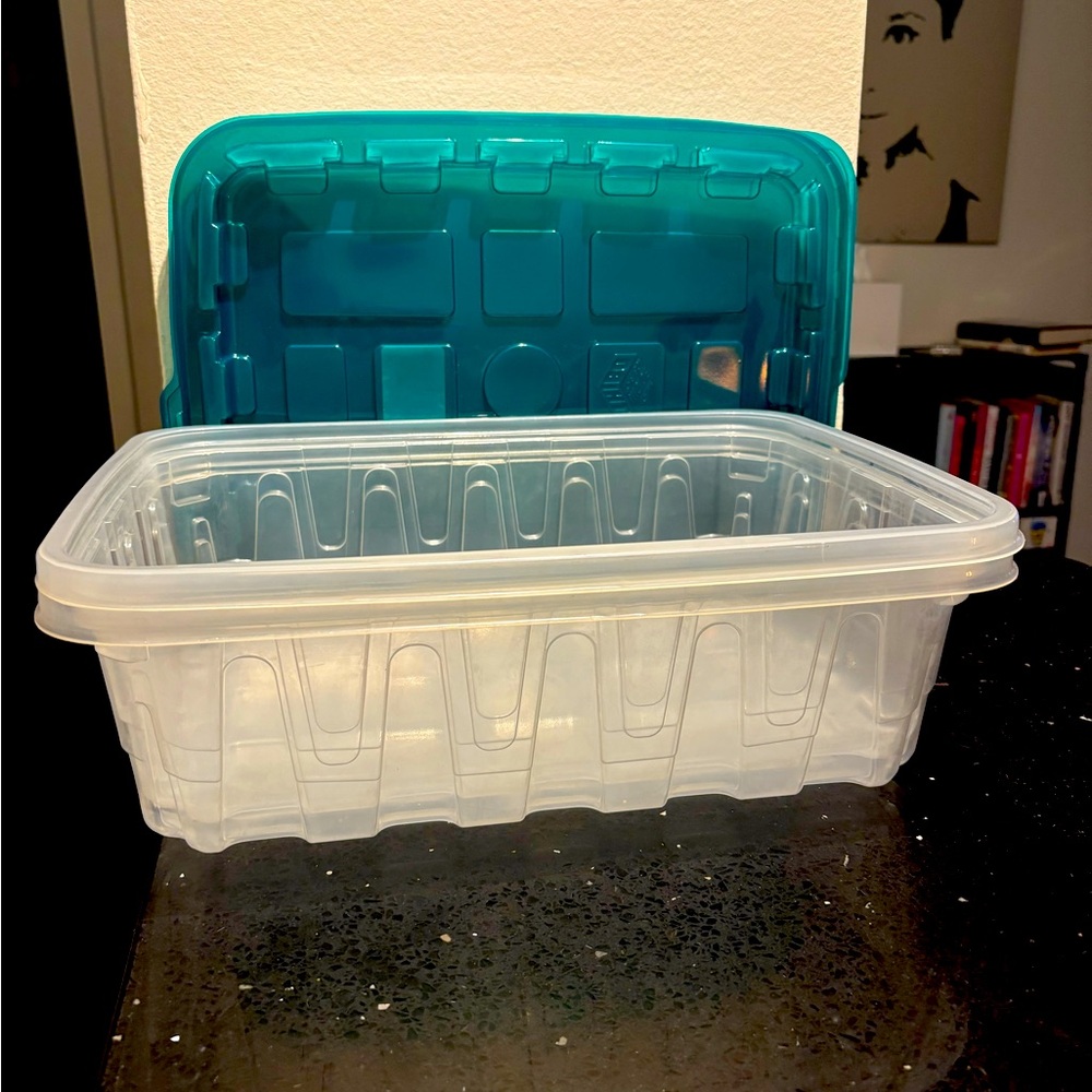 2 Clear Storage Containers